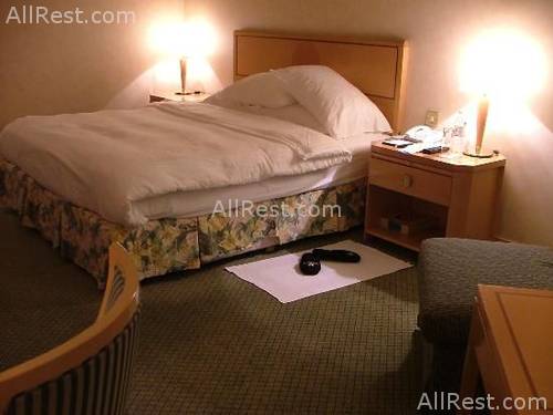 Al Bustan Rotana Hotel Dubai 12